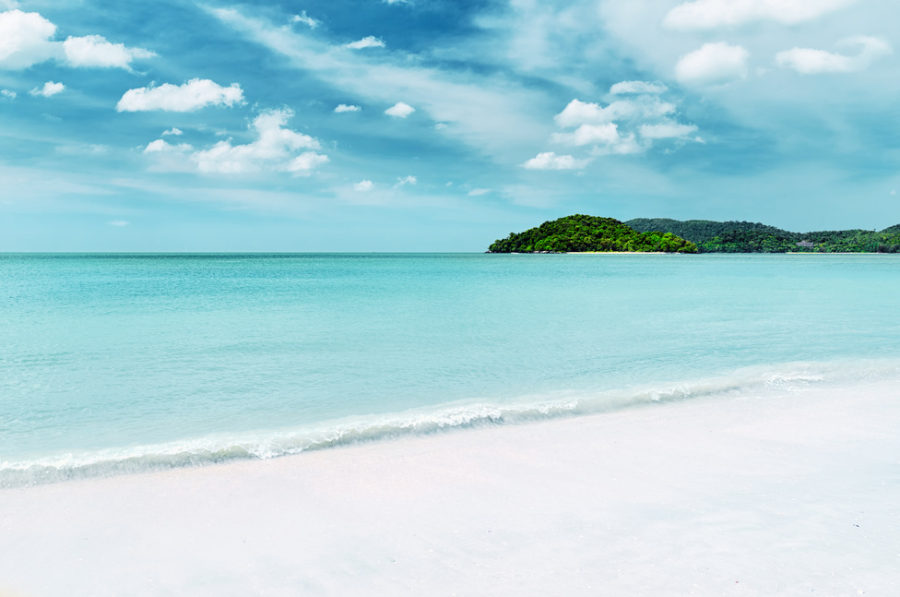 A calm, bright shoreline